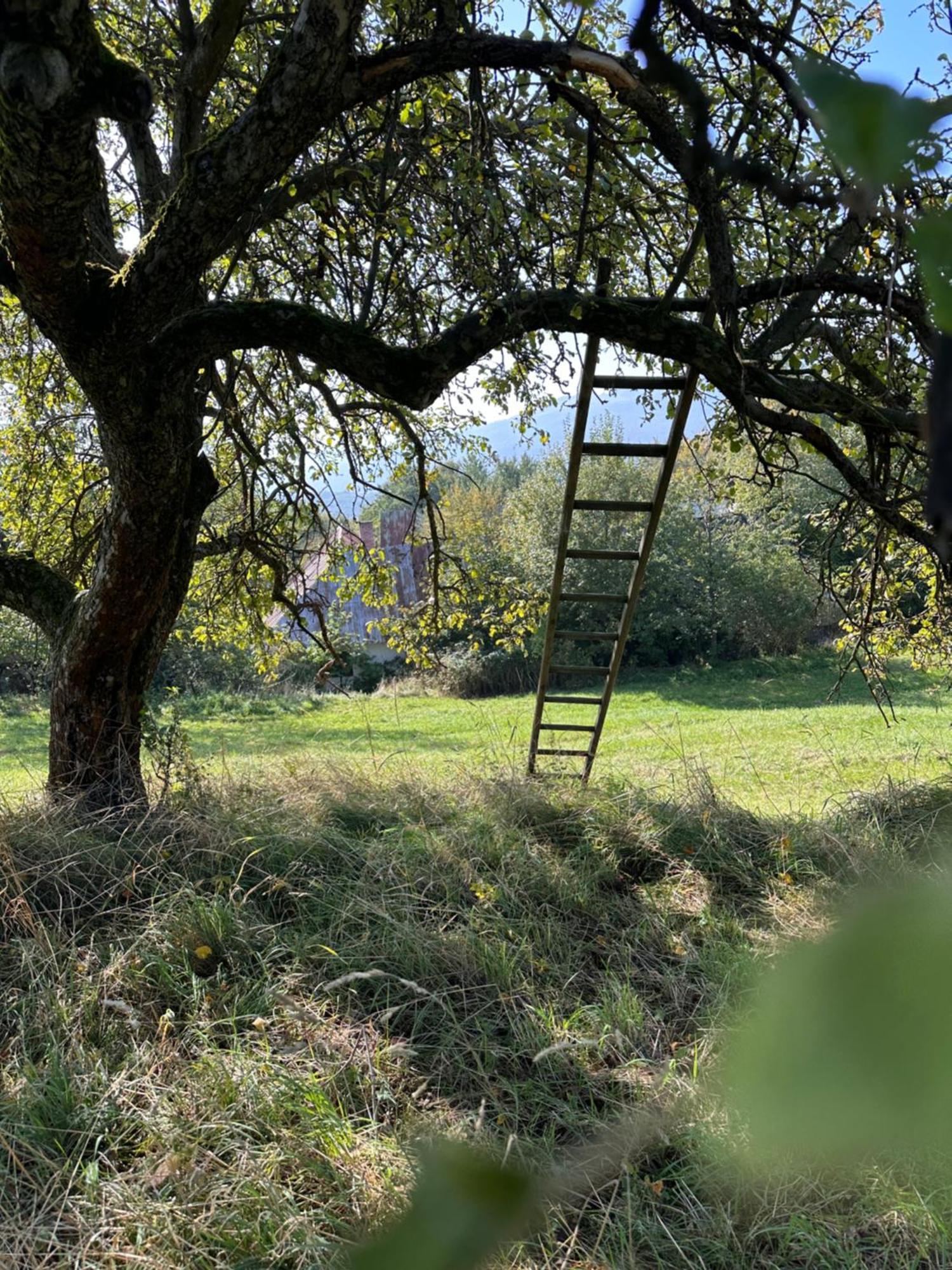 Nadherne Misto Pro Vas Relax V Prirode Uherské Hradiště Buitenkant foto